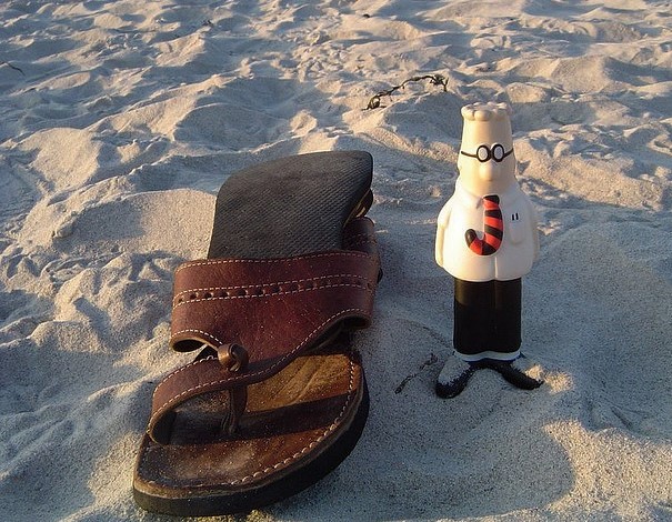 Dilbert visits the beach. Photo by Ol.v!er [H2vPk].