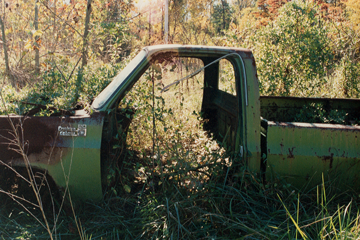 Photo by renee_mcgurk. Rusted-out truck in the woods.