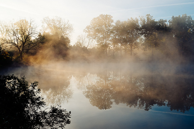 Photo of a misty morning by Conal Gallagher.