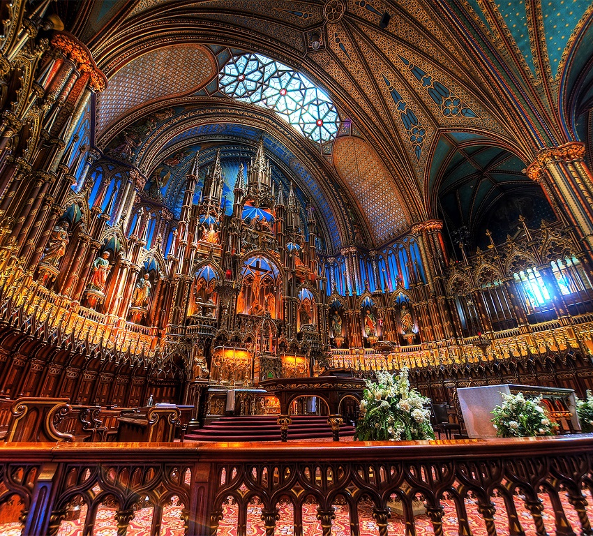 the gorgeous ceiling of Notre Dame cathedral