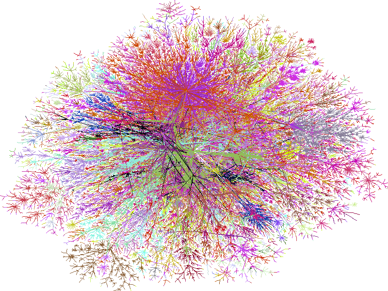 Map of the internet via Bill Cheswick. Remote mentorship is possible because of this technology.